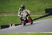 cadwell-no-limits-trackday;cadwell-park;cadwell-park-photographs;cadwell-trackday-photographs;enduro-digital-images;event-digital-images;eventdigitalimages;no-limits-trackdays;peter-wileman-photography;racing-digital-images;snetterton;snetterton-no-limits-trackday;snetterton-photographs;snetterton-trackday-photographs;trackday-digital-images;trackday-photos